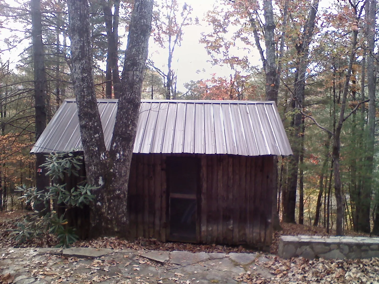 New metal gable roof on a small log shed among the trees in Priest River