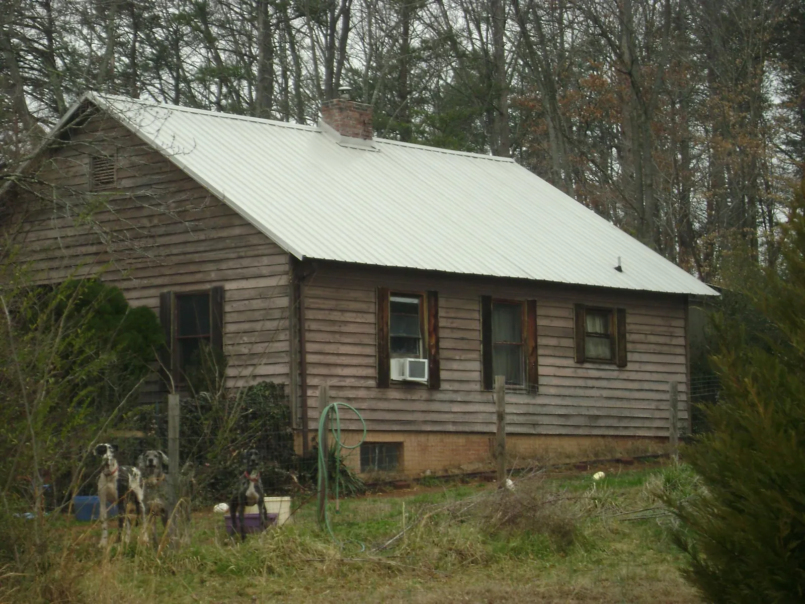White metal roof on an old wood sided farmhouse, from a Asphalt Shingle Roof Repair job in Priest River
